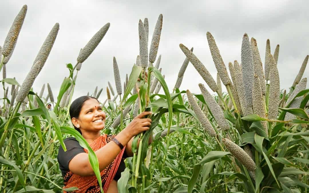 Top 10 Millet Producing States in India