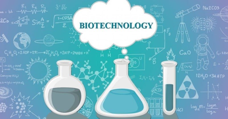 Scope of Biotechnology in India: A Growing Field